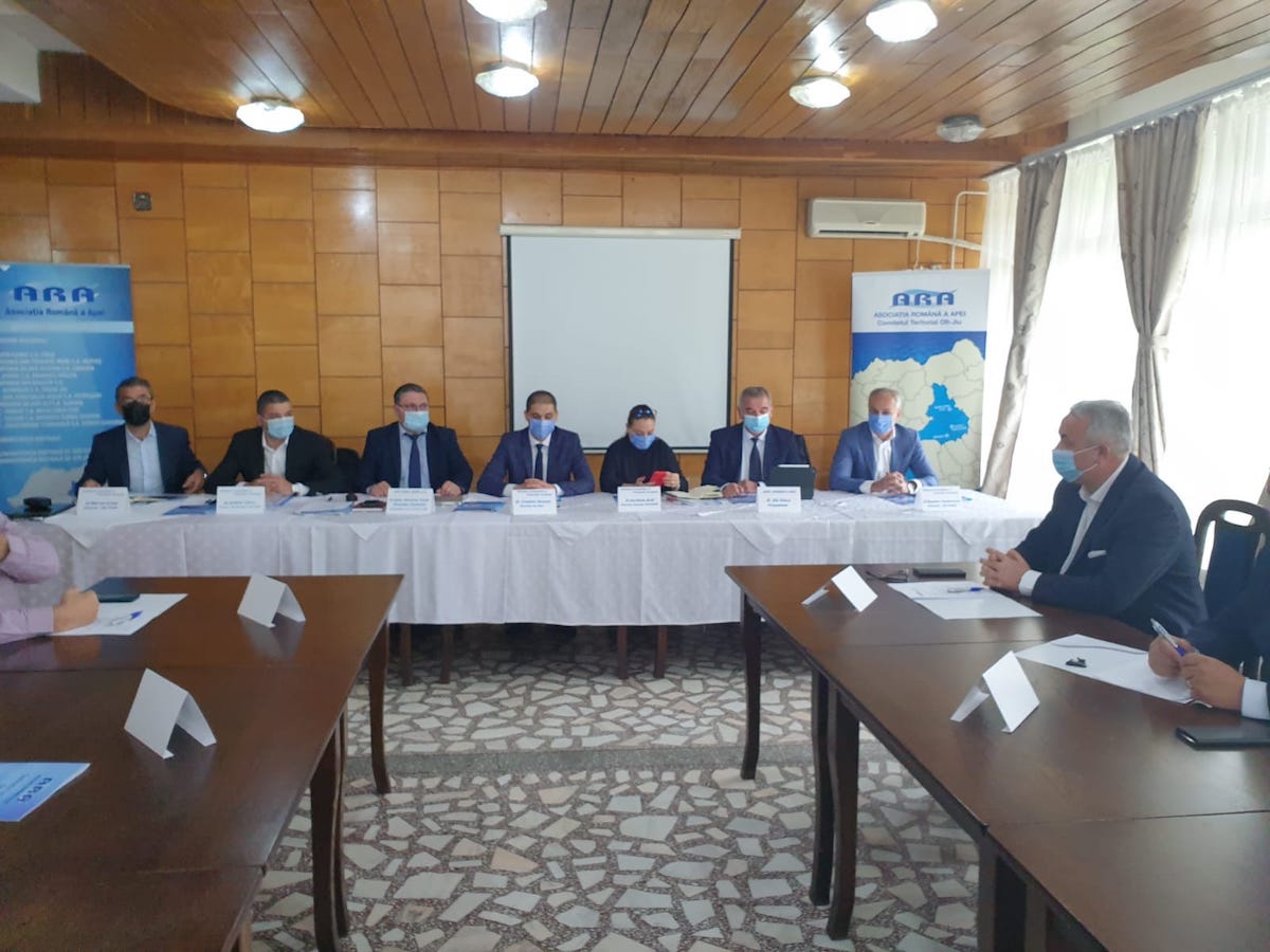 Ședința Comitetului ARA Olt – Jiu din 13-14 Mai 2021
