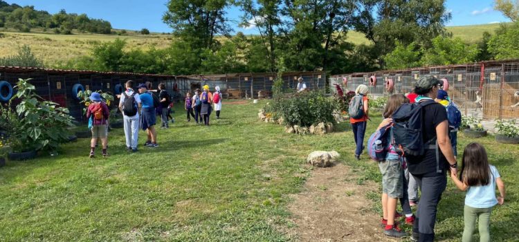 Ateliere în care copiii învață empatia față de animale, organizate de o asociație sibiană, susținută de Apă Canal Sibiu