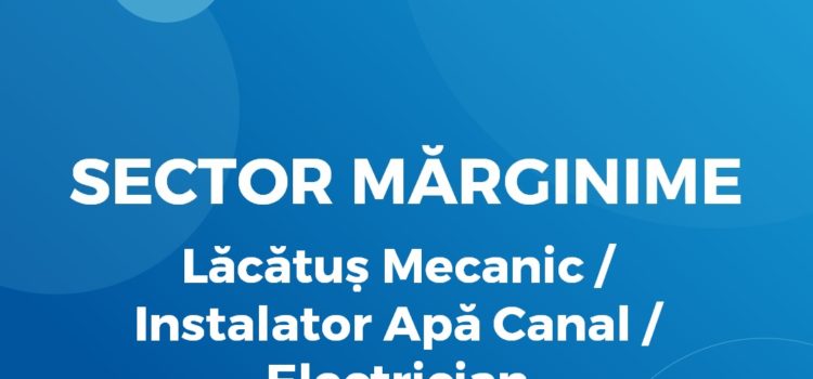 Lăcătuș Mecanic / Instalator Apă Canal / Electrician