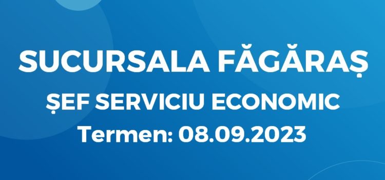 ȘEF SERVICIU ECONOMIC (31.08.2023)