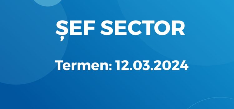 ȘEF SECTOR (29.02.2024)