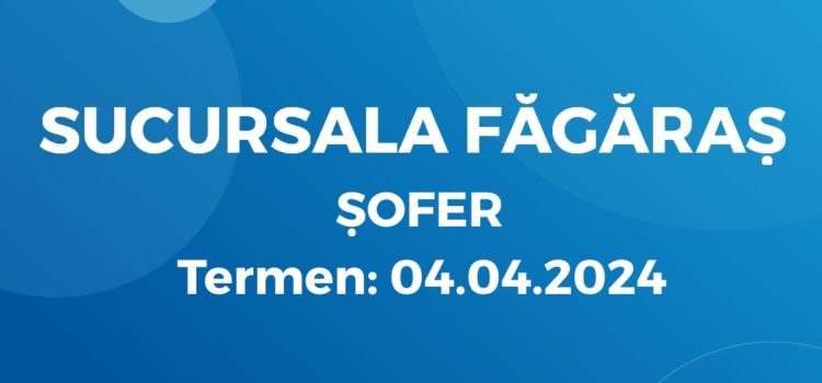 Șofer (27.03.2024)