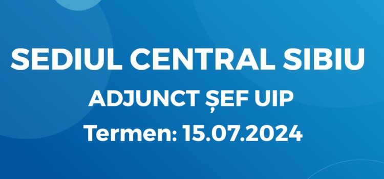 Adjunct Șef UIP (08.07.2024)