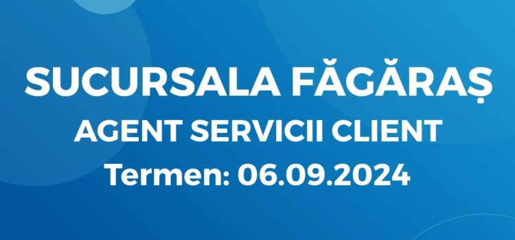 Agent Servicii Client (27.08.2024)