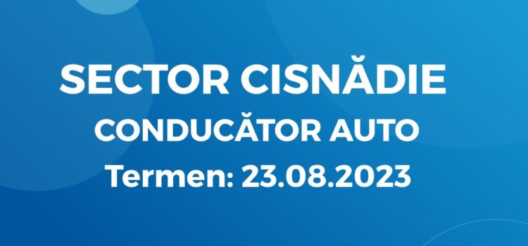 Conducător Auto (19.08.2024) Conducător Auto (19.08.2024)