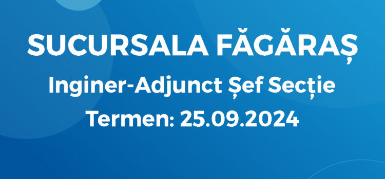 Inginer-Adjunct Șef Secție (12.09.2024) Inginer-Adjunct Șef Secție (12.09.2024)