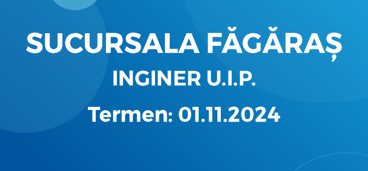 Inginer U.I.P. (23.10.2024)