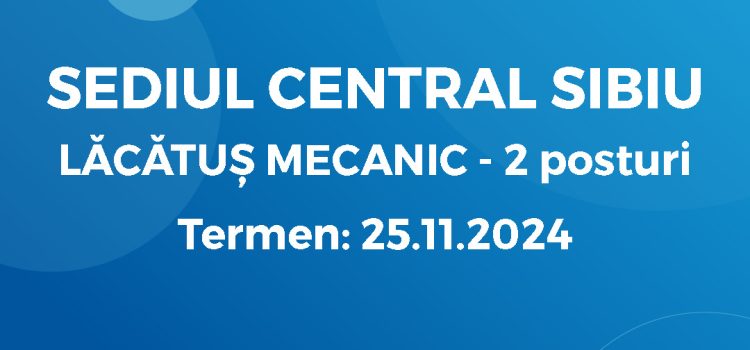 Lăcătuș Mecanic (15.11.2024)