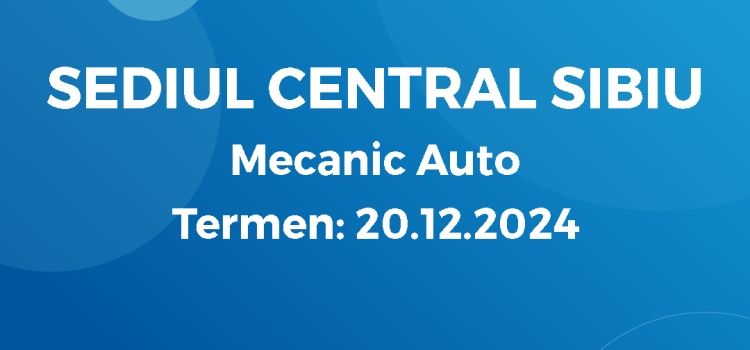 Mecanic Auto (12.12.2024)