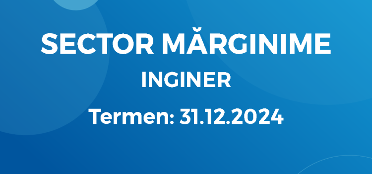Inginer (17.12.2024)