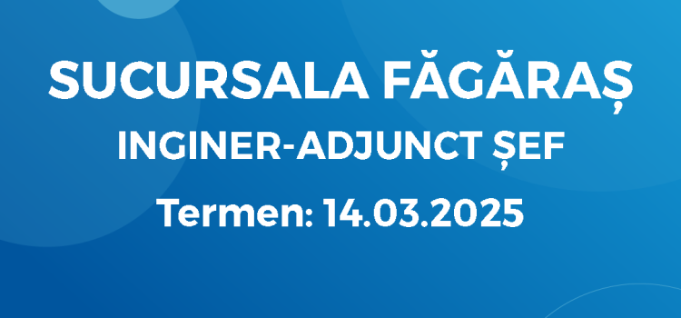 Inginer-Adjunct Șef (05.03.2025)
