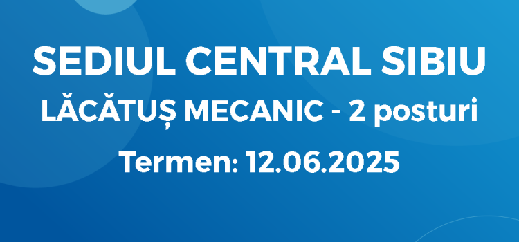 Lăcătuș Mecanic (30.05.2025)