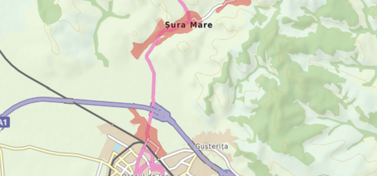 Interventie la conducta principala de distributie PE 315 din str. Viitorului – in spatele Spitalului de Psihiatrie ,,Dr. Gheorghe Preda“