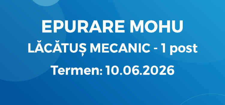 Lăcătuș Mecanic (28.05.26)