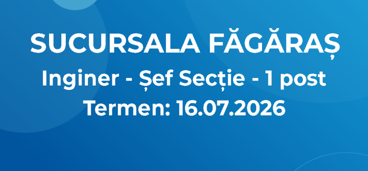 Inginer – Șef Secție (02.07.2026) Inginer – Șef Secție (02.07.2026)