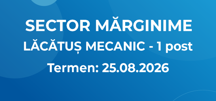Lăcătuș Mecanic – Sector Mărginime (14.08.2026)
